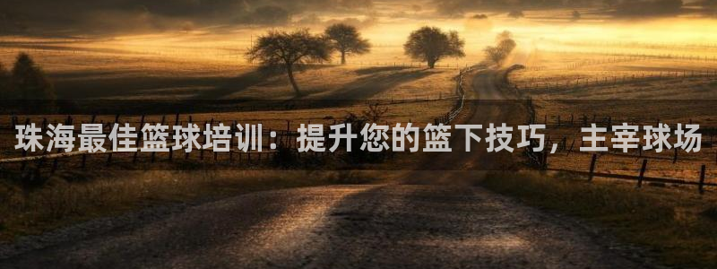 尊龙凯时是大平台吗：珠海最佳篮球培训：提升您的篮下技