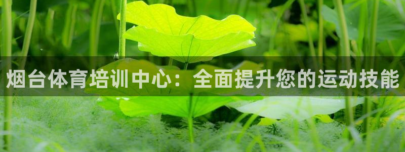 尊龙凯时存款不上分：烟台体育培训中心：全面提升您的运