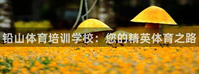尊龙人生就是博首页入口：铅山体育培训学校：您的精英体