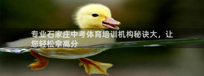 尊龙凯时代理：专业石家庄中考体育培训机构秘诀大，让
