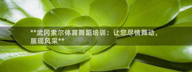 凯时官网手机版下载：**武冈索尔体育舞蹈培训：让您尽