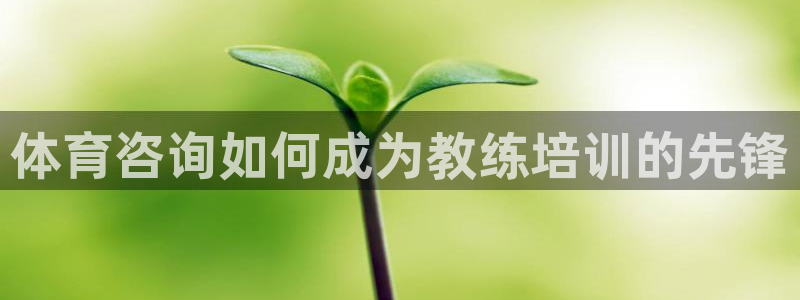 凯时国际网站域名：体育咨询如何成为教练培训的先锋