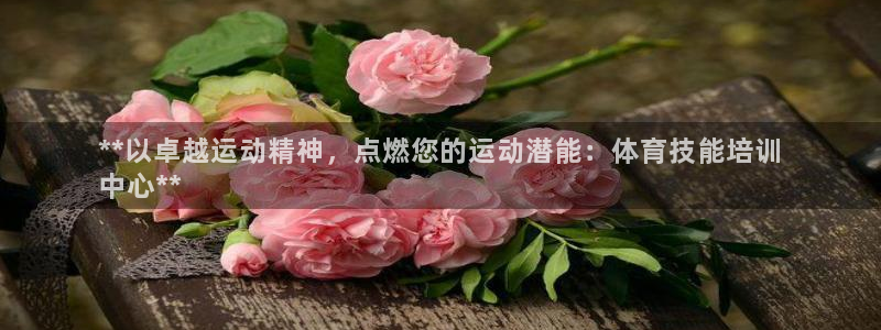 尊龙凯时发展历程：**以卓越运动精神，点燃您的运动潜