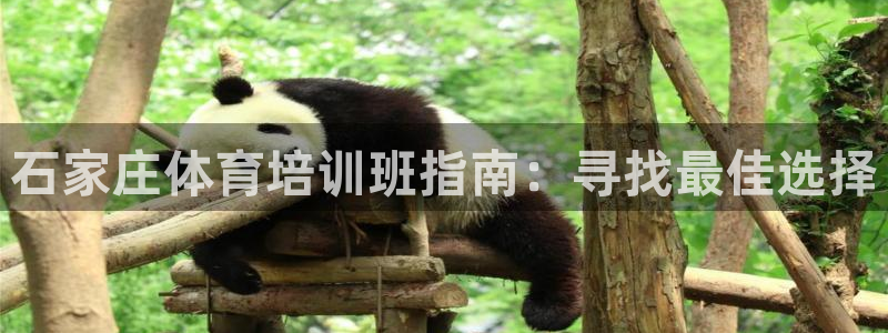 尊龙凯时链接：石家庄体育培训班指南：寻找最佳选择