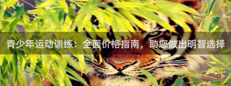 尊龙凯时ag旗舰厅试玩：青少年运动训练：全面价格指南