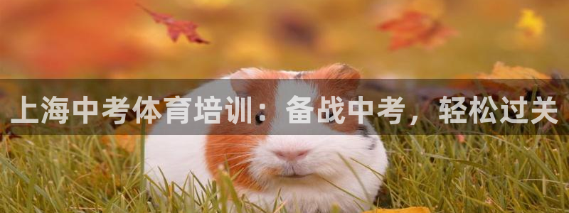 尊龙休闲e站怎么样：上海中考体育培训：备战中考，轻松