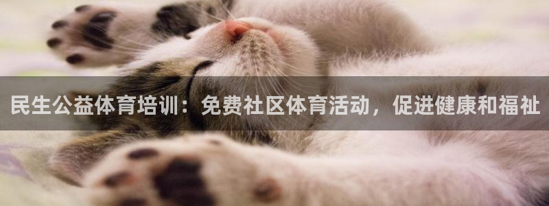 尊龙凯时 - 人生就是搏有假吗：民生公益体育培训：免