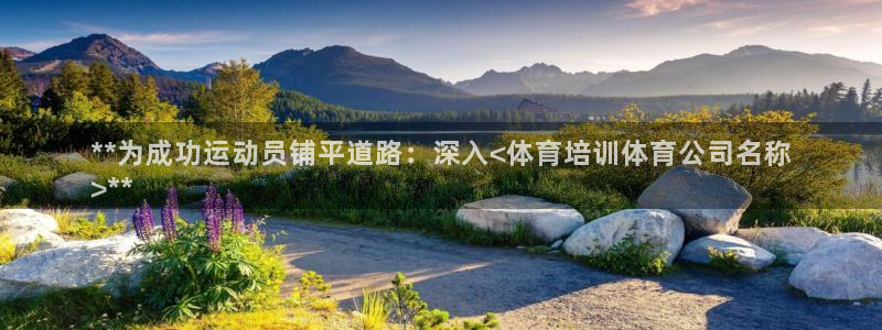 尊龙物流怎么样：**为成功运动员铺平道路：深入<体育