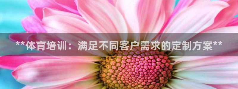 尊龙eight is enough：**体育培训：满