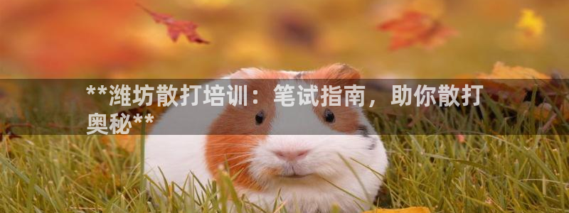 尊龙凯时一人生就是博官网：**潍坊散打培训：笔试指南