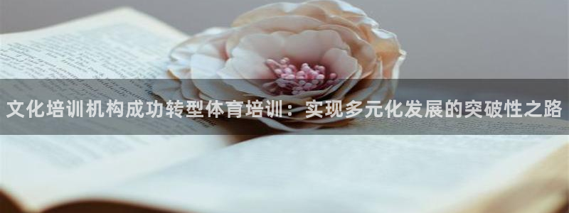 凯时平台app：文化培训机构成功转型体育培训：实现多