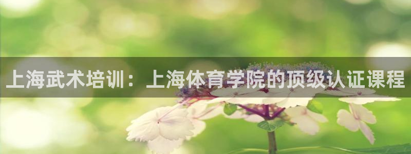 尊龙d88官网新版：上海武术培训：上海体育学院的顶级