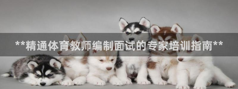 KB88凯时官网：**精通体育教师编制面试的专家培训