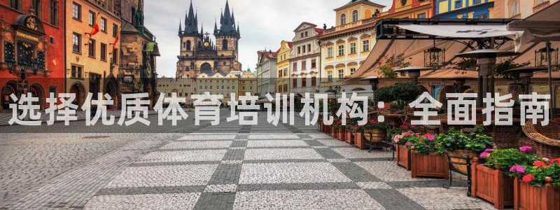 尊龙凯时能不能提现?：选择优质体育培训机构：全面指南