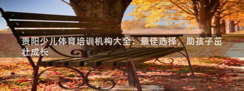 尊龙凯时网娱乐官网：贵阳少儿体育培训机构大全：最佳选