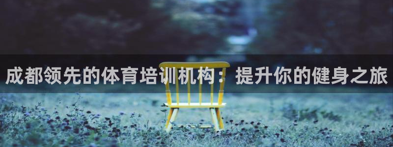 ZL尊龙凯时集团：成都领先的体育培训机构：提升你的健