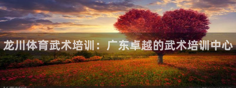 尊龙旗舰厅app：龙川体育武术培训：广东卓越的武术培