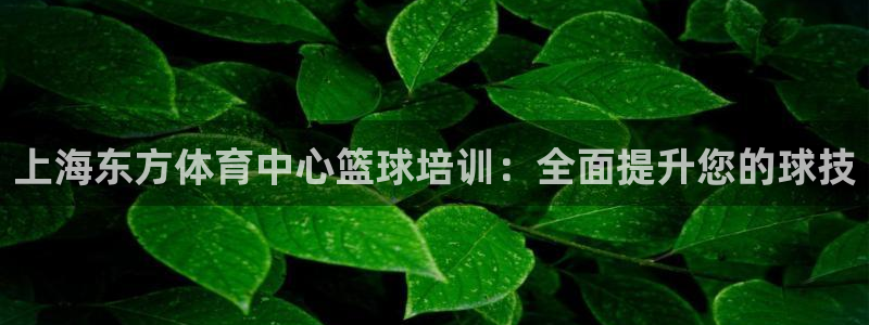 尊龙凯时返现：上海东方体育中心篮球培训：全面提升您的