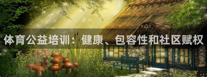 尊龙ktv怎么样：体育公益培训：健康、包容性和社区赋