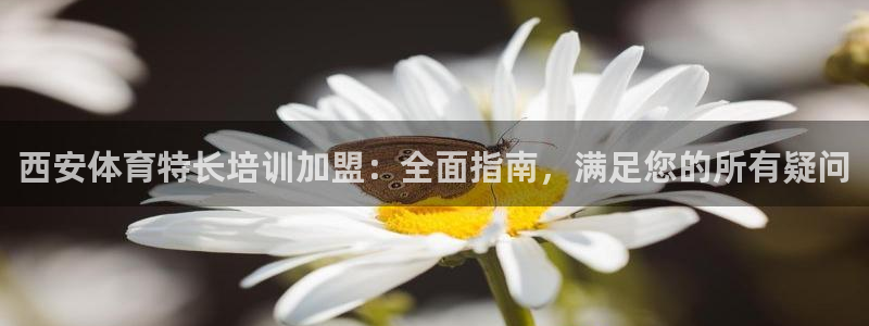 尊龙官网手：西安体育特长培训加盟：全面指南，满足您的