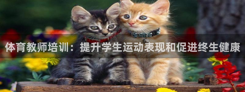 尊龙凯时官方网页：体育教师培训：提升学生运动表现和促