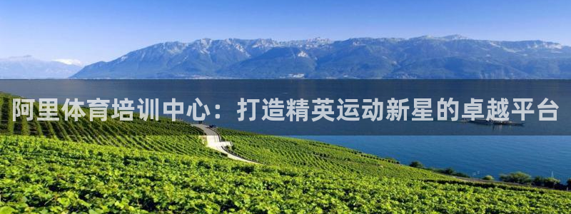 尊龙凯时家居是品牌吗：阿里体育培训中心：打造精英运动