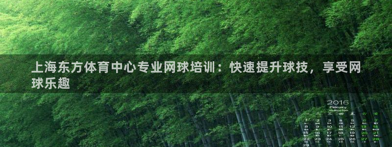 尊龙凯时合法吗?：上海东方体育中心专业网球培训：快速