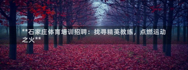 尊龙凯时登陆网址：**石家庄体育培训招聘：找寻精英教