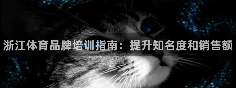 尊龙人生就是博网站下载：浙江体育品牌培训指南：提升知
