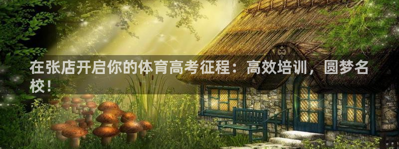 尊龙凯时为什么不封：在张店开启你的体育高考征程：高效