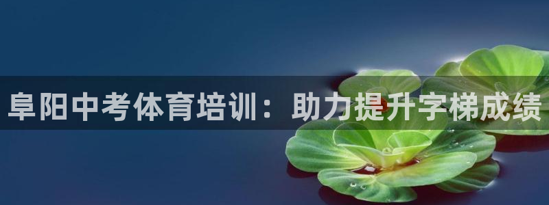 凯时尊龙官网网址：阜阳中考体育培训：助力提升字梯成绩