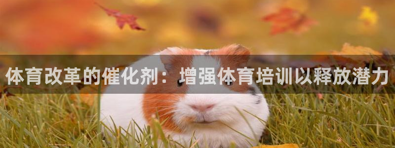 z6com尊龙：体育改革的催化剂：增强体育培训以释放