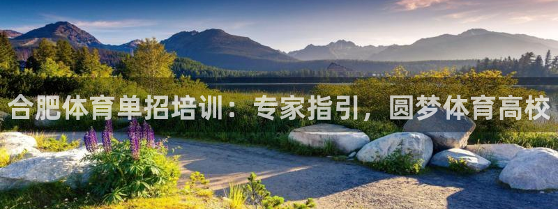 尊龙凯时能做退米么：合肥体育单招培训：专家指引，圆梦
