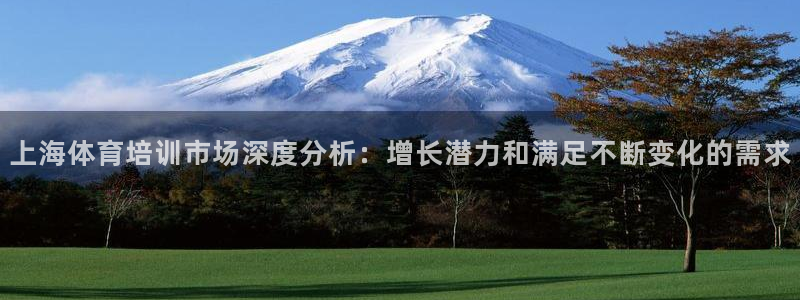 尊龙人生手机版：上海体育培训市场深度分析：增长潜力和