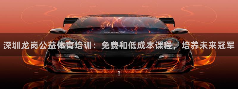 尊龙凯时注册：深圳龙岗公益体育培训：免费和低成本课程