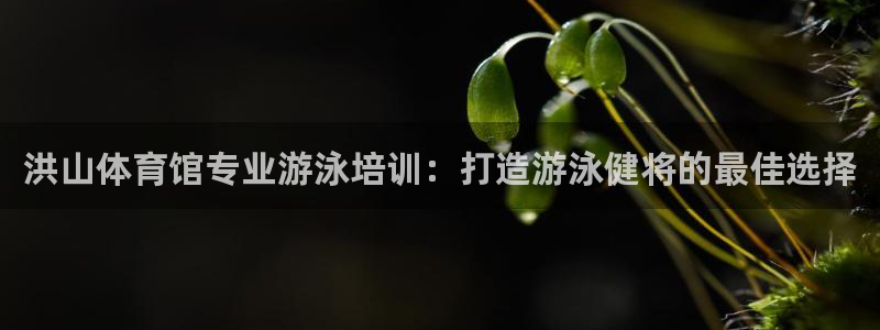 尊龙凯时app官网：洪山体育馆专业游泳培训：打造游泳