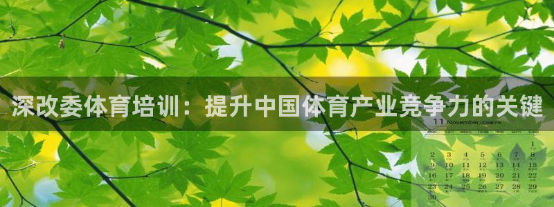 尊龙凯时凯发官网：深改委体育培训：提升中国体育产业竞