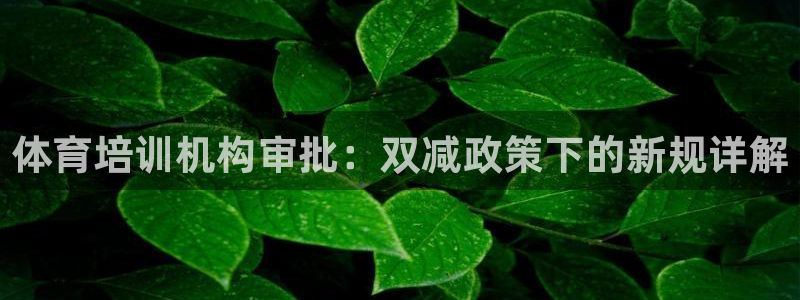 尊龙人生就是-首页：体育培训机构审批：双减政策下的新