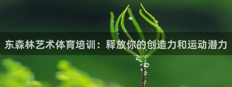 凯时app官网首页：东森林艺术体育培训：释放你的创造