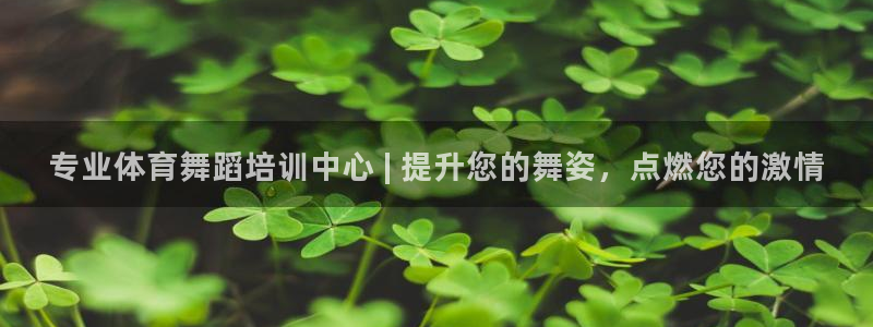 尊龙z6网址：专业体育舞蹈培训中心 | 提升您的舞姿