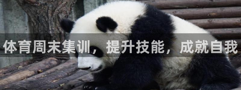 尊龙人生就是博电脑版：体育周末集训，提升技能，成就自