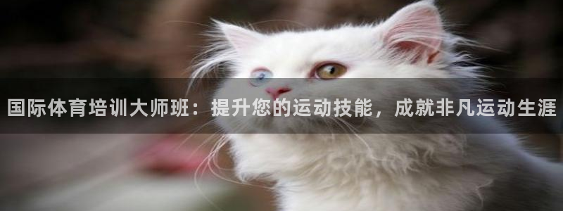 尊龙凯时白家乐Abb下载：国际体育培训大师班：提升您