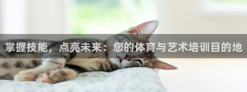 z6com尊龙凯时百家乐下载：掌握技能，点亮未来：您