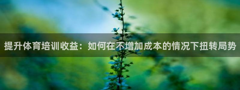 尊龙最近一次露面：提升体育培训收益：如何在不增加成本