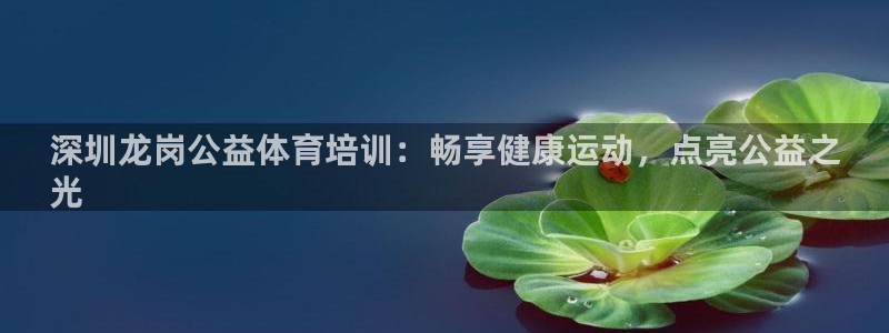 凯时首页登录：深圳龙岗公益体育培训：畅享健康运动，点