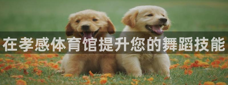 尊龙d88皆选ag发财网：在孝感体育馆提升您的舞蹈技