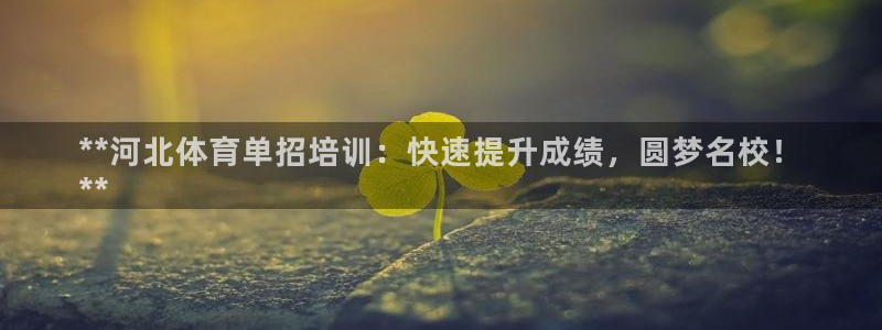 凯时app官方首页：**河北体育单招培训：快速提升成