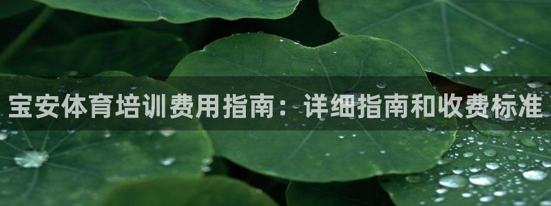 Z6尊龙老版：宝安体育培训费用指南：详细指南和收费标