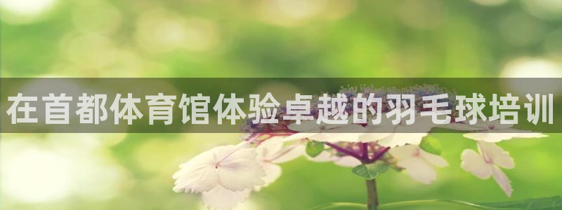 凯时网上官方网站：在首都体育馆体验卓越的羽毛球培训