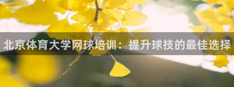 尊龙人生就是博旧版网址：北京体育大学网球培训：提升球